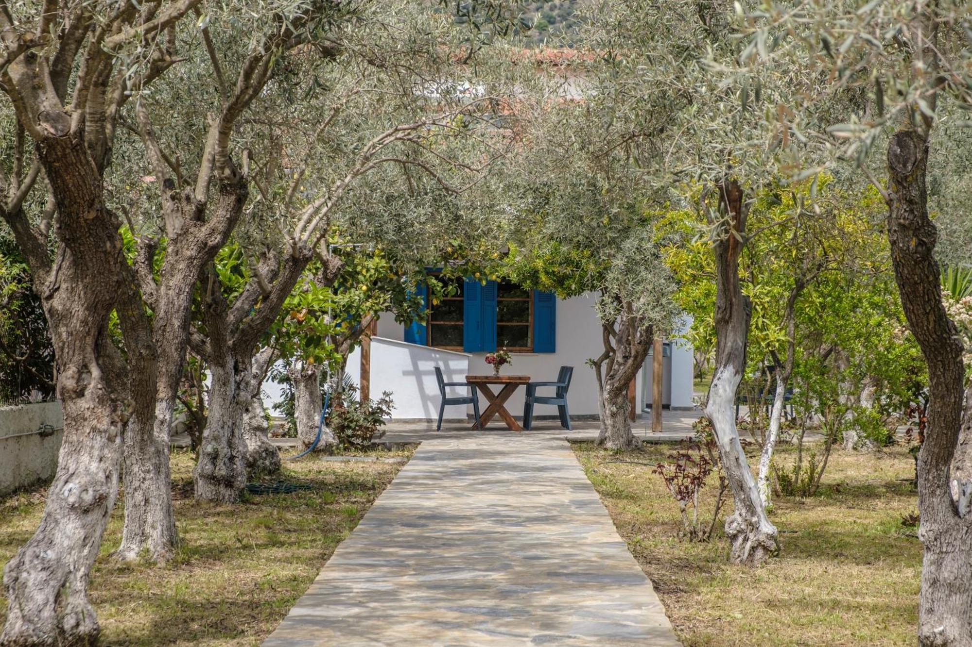 Seaside Resort Kritharia  Dış mekan fotoğraf